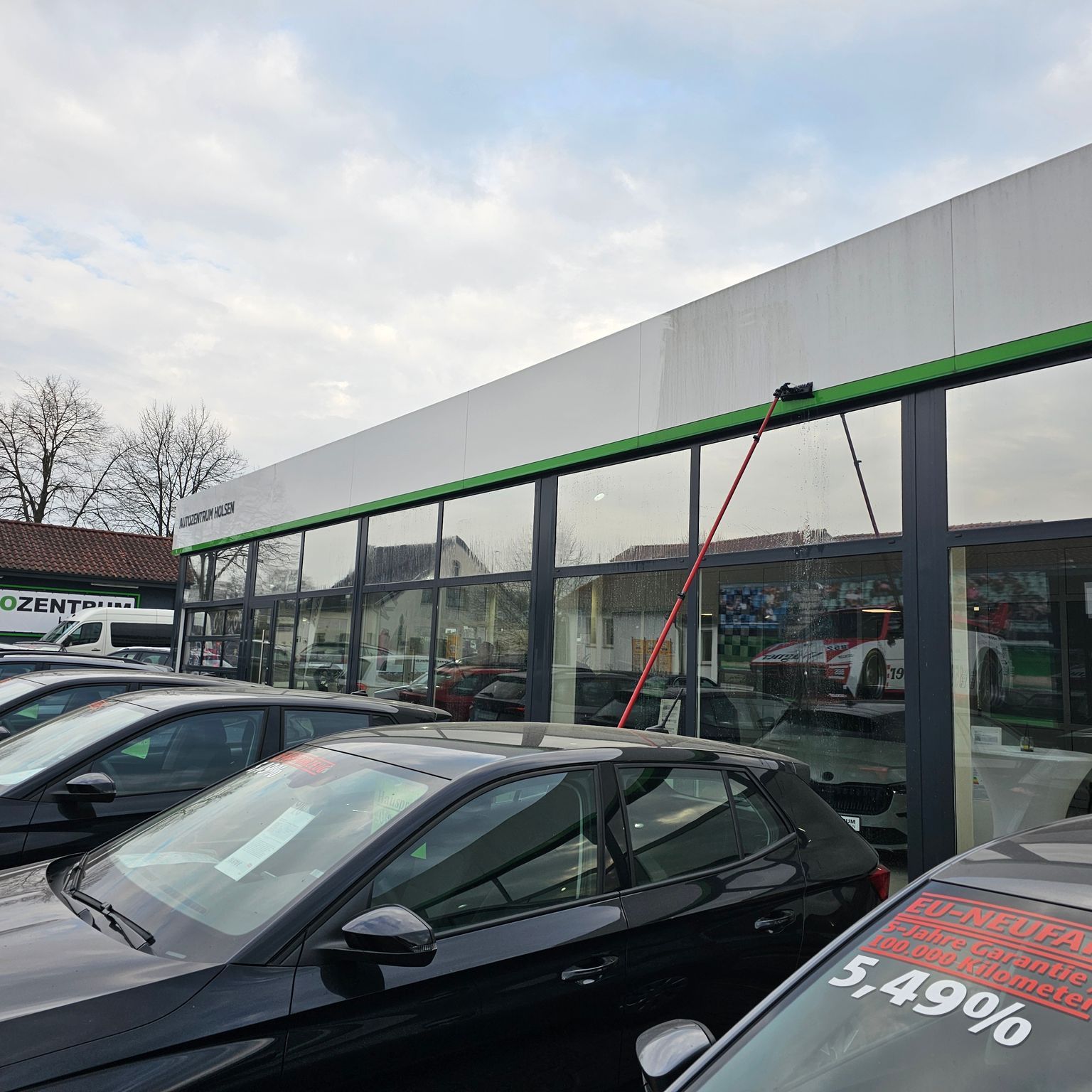 Manuelle Fassadenreinigung